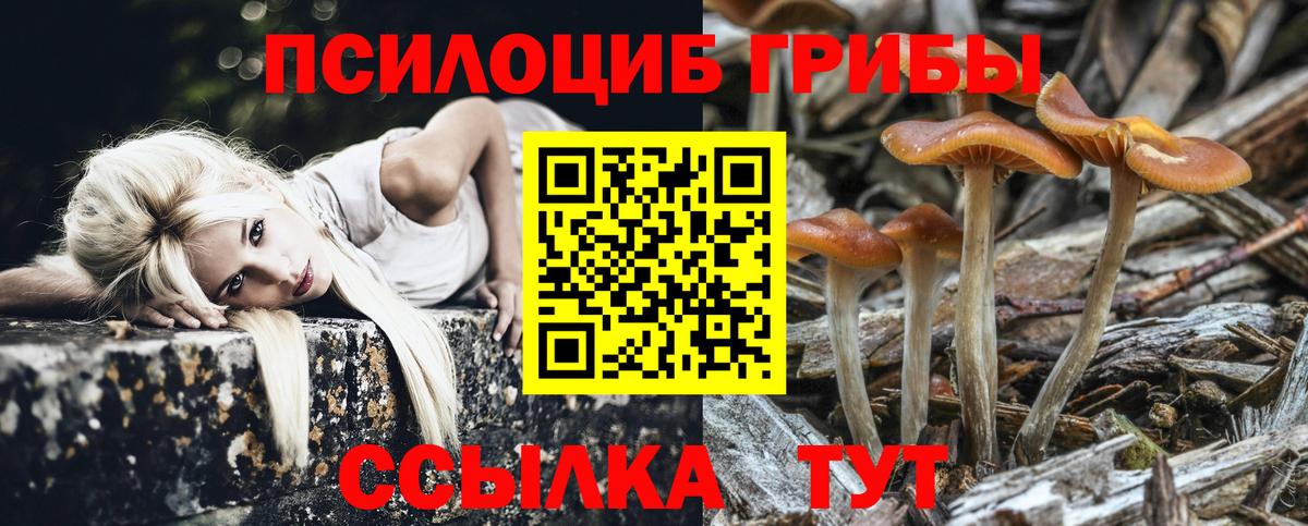 Псилоцибиновые грибы мухоморы Чебоксары