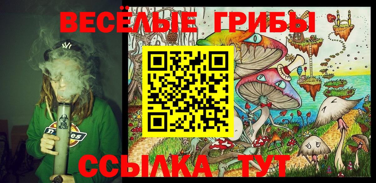 Псилоцибиновые грибы прущие грибы  Псилоцибиновые грибы GOLDEN TEACHER  Вход с VPN  Чебоксары 